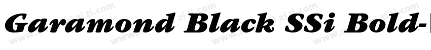 Garamond Black SSi Bold字体转换